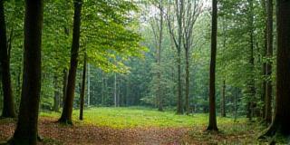 Lokale leveranciers en transparante tarieven van Groen Rust