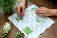 Advies over duurzame nalatenschap en groene herinneringen